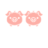 cochon