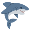 cute shark