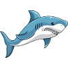 Shark shark barking great white sharks