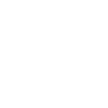 Crâne blanc et boussole viking