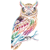 Bunte Eule – Mystisch & Farbig