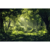 Waldlandschaft Illustration Poster