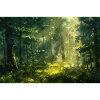 Forest Landscape Illustration Poster