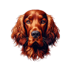 Dog Face - Irish Red Setter