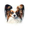 Dog Face - Papillon