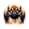 Dog Face - Pekingese