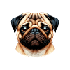 Dog Face - Pug