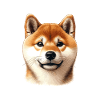 Dog Face - Shiba Inu