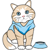 Cute cat with bowl