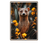 Mongoose's Mongoose