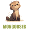 Mungos Mungo