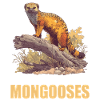 Mongoose's Mongoose
