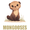 Mongoose's Mongoose