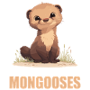 Mungos Mungo