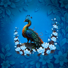 The Majestic Peacock