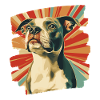 American Staffordshire 2