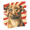 American Staffordshire