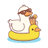 Sjov And Med Solbriller På Ducky Pool Float
