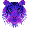 Blue-Eye-Tiger