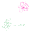 make your dreams happen