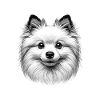 Dog Face - Volpino Italiano