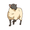 Kawaii Suffolk Sheep