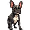 Französische Bulldogge, French Bulldog Bouledogue