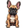Französische Bulldogge, French Bulldog Bouledogue
