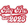 Big Bro Est 2025