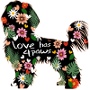 Maltese Dog