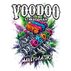 VooDoo "Manipulators" - Motor