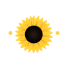 Best Mum Ever Sunflower
