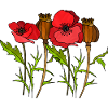 Blumen