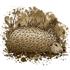 Hérisson