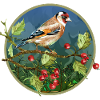 Bunter Vogel
