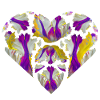 Explosion of colour in the heart