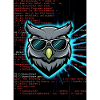 CMD Code Matrix Owl