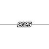 2025 year