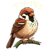 You yes sparrow