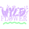 Wyld Flower – Boho Vibes
