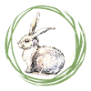 Bunny motif