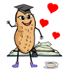 Peanut Student Studying University