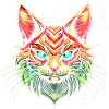 Chat Maine coon