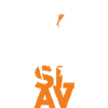 Design slave