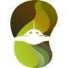 Spaceship Mars Saucer