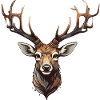 Roe deer