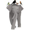 Elephant, Blackbird, Robin, Blue, Wren