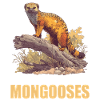 Mongoose's Mongoose