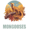Mongoose's Mongoose