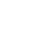Project managers